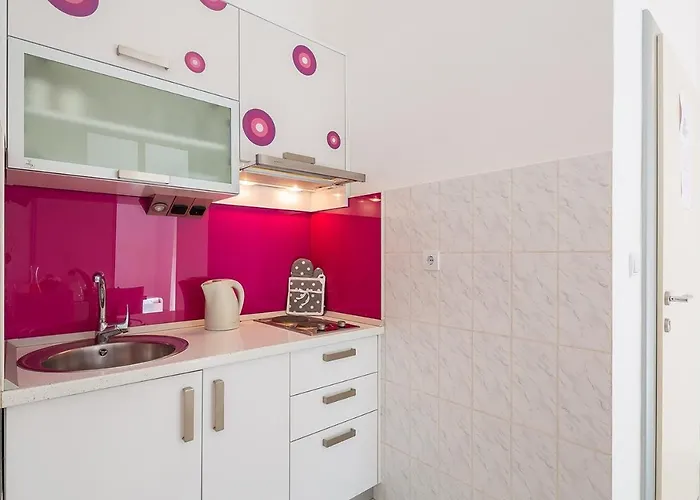 ホームステイ Kastelancic