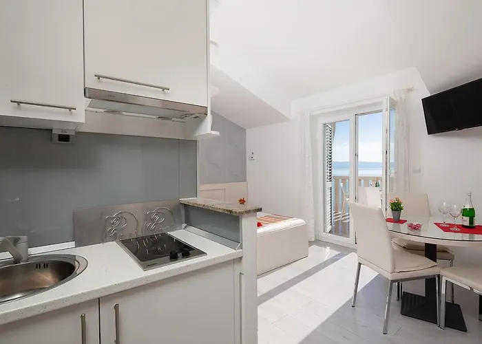 ホームステイ Kastelancic ポドストラナ