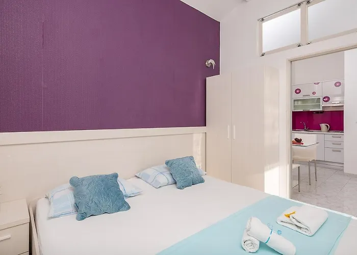 ホームステイ Kastelancic ポドストラナ